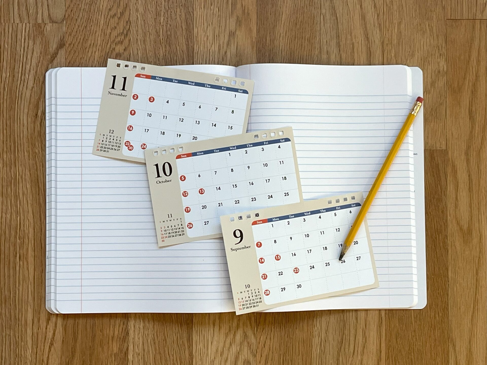 海外在住でも目指せる！帰国子女枠入試の出願準備ガイド【2025年度入試対応】